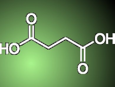 Sustainable Succinic Acid Licensed