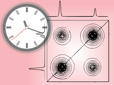 Fast 2D NMR for Kinetic Studies