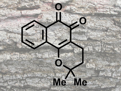 Synthesis of β-Lapachone