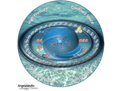 Angewandte Chemie 43/2014: Long-Term Stability