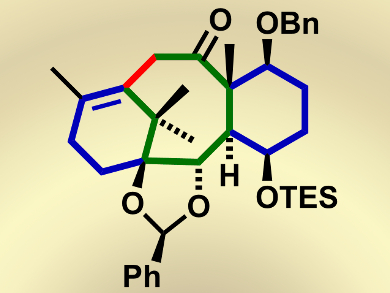 Formal Total Synthesis of (–)-Taxol