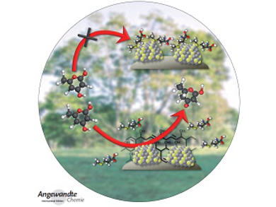 Angewandte Chemie 47/2014: Molecular Machinery