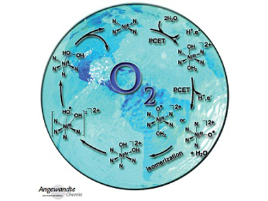 Angewandte Chemie 48/2014: Unexpected Synergy