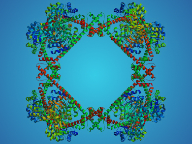 Self-assembled Protein Cube