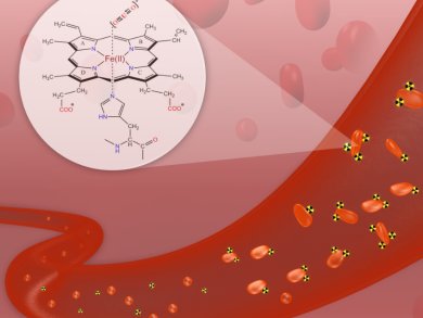 Uranyl Ions in Blood