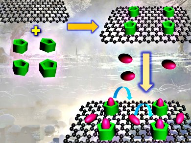 Graphene Sensor for Aqueous Solutions