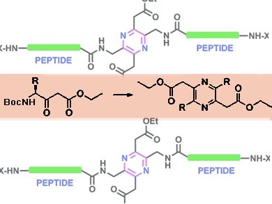 Self-dimerization of Peptides
