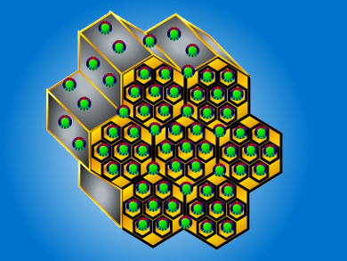 Novel Nanocomposites for Hydroamination