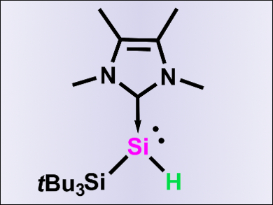 Reaction of an NHC-Stabilized Silylene Monohydride with Alkynes