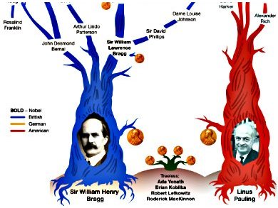 Family Tree of Macromolecular Crystallographers