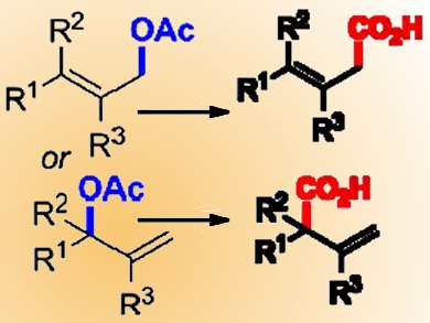 Ni-Catalyzed Reductive Carboxylation