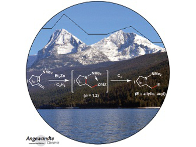 Angewandte Chemie 52/2014: Happy Holidays