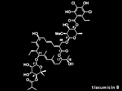 Total Synthesis of Tiacumicin B Aglycone