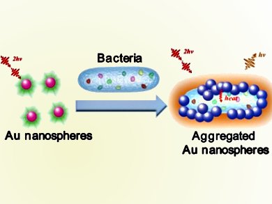 Alternative To Antibiotics