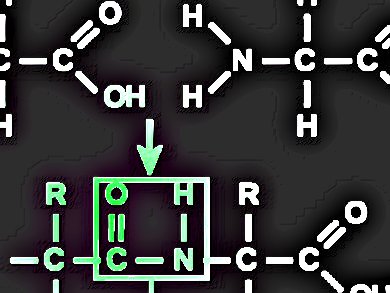 Better Solvents for Peptide Synthesis