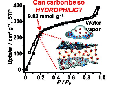 Water Capture by Porous Carbon