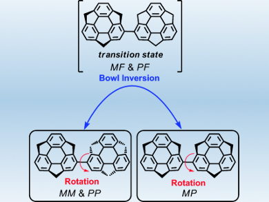 Dynamic Behaviour of Bisumenyl