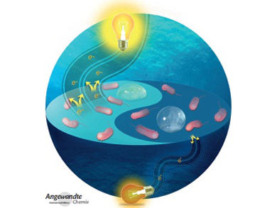 Angewandte Chemie 5/2015: The Power of Chemistry