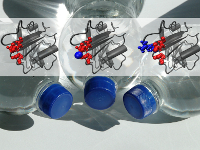 PET Degradation by Enzymes