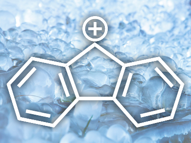 Frozen Fluorenyl Cations