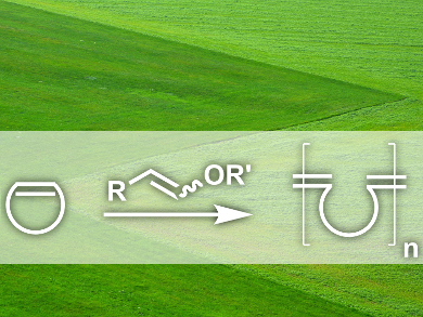 Ring Opening Metathesis Polymerization without Metals