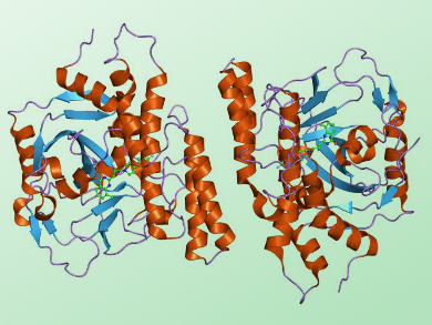 Finding the Achilles Heel of Cancer Cells