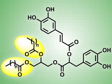 Regioselective Synthesis of Diacylglycerol Rosmarinates