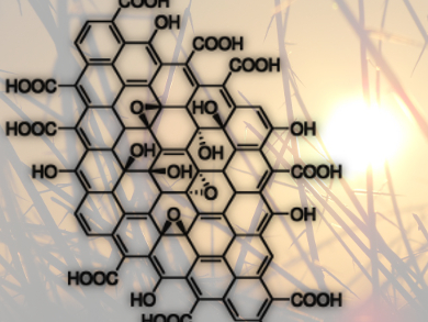 Potential Environmental Risks of Graphene Oxide