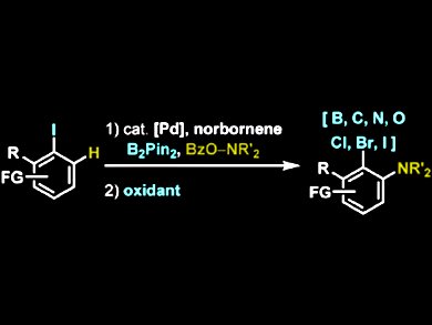 Heterosubstituted Arenes Through C-H Activation