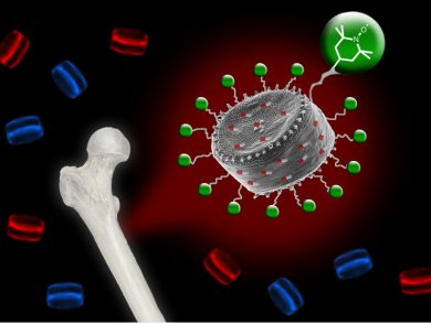 Biosilica for Bone Cell Growth