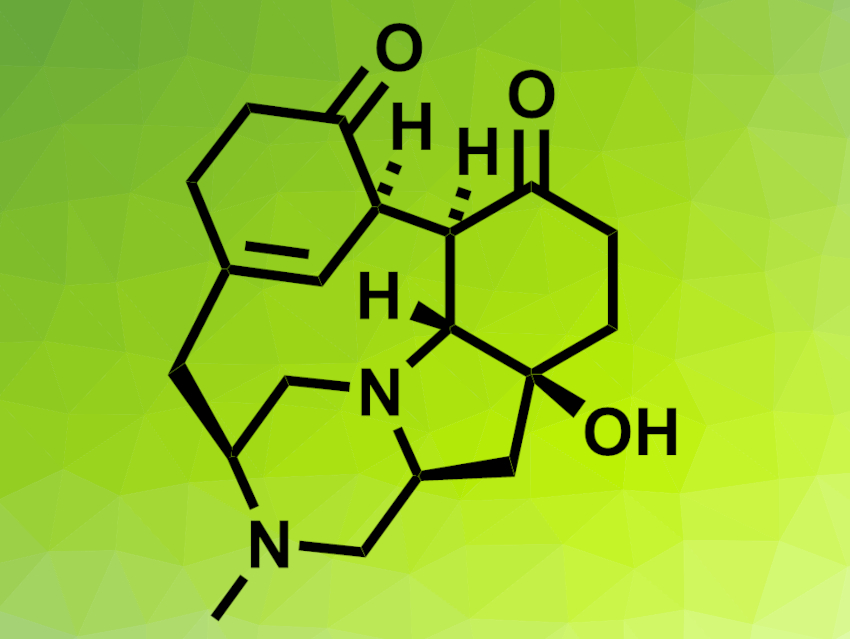 Synthesis of 1-Hydroxyherquline A