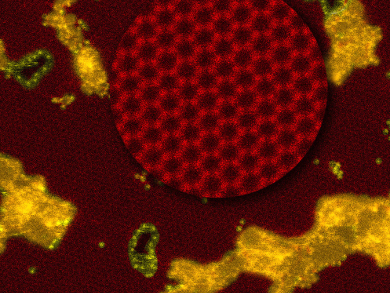 Desalination with Nanoporous Graphene