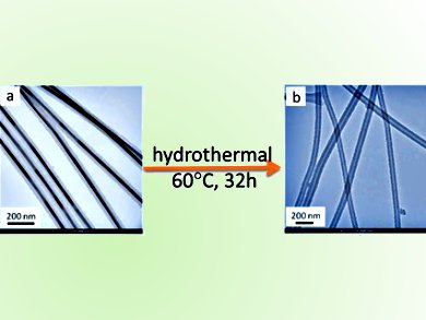 Novel Carbonaceous Nanostructures