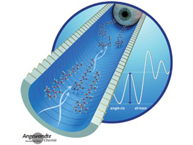 Angewandte Chemie 16/2015: Iron is Hot