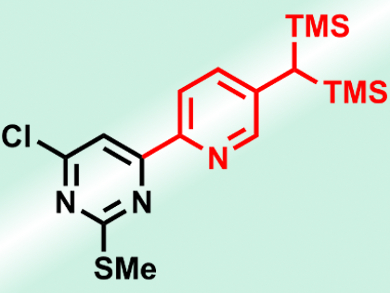 A Simple Route to Functionalized Heterocycles