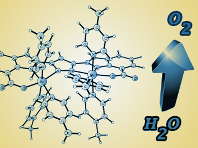 Ruthenium-Based Water Oxidation Catalyst