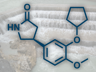 Continuous-Flow Synthesis of GABA derivatives