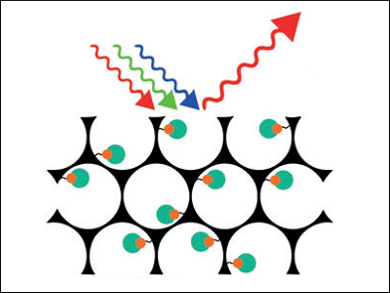 Sensors Based On Inverse Opal Hydrogels