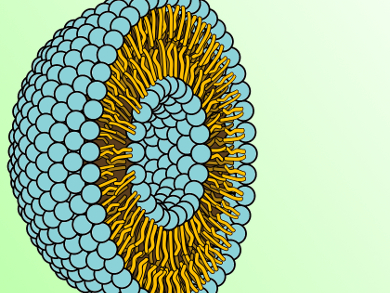 Accurate Analysis of Extracellular Vesicles