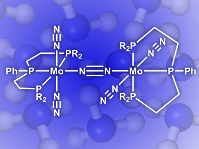 A Giant Leap in Nitrogen-Ammonia Transformation