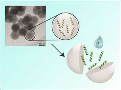 RNA Safely Stored