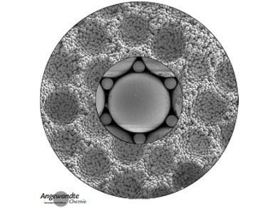 Angewandte Chemie 20/2015: Stable Bonds