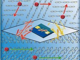 Organic Electronics: Recent Developments