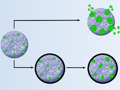 Control of Microbial Growth in Microbeads