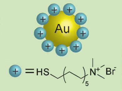 Cationic Gold Nanoparticles