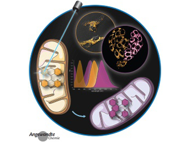 Angewandte Chemie 22/2015: Graphene Power