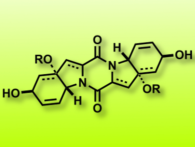 Treacherous Path to Scabrosin Diacetate