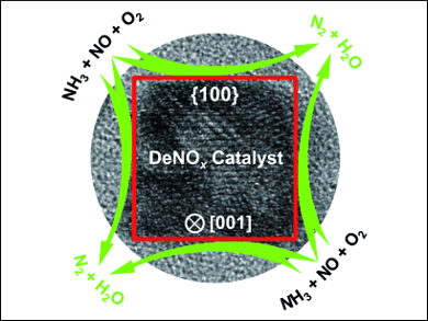 Active Sites of Denitrification Catalysts