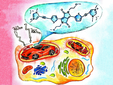 Diketopyrrolopyrroles – From Cars to Microscopy