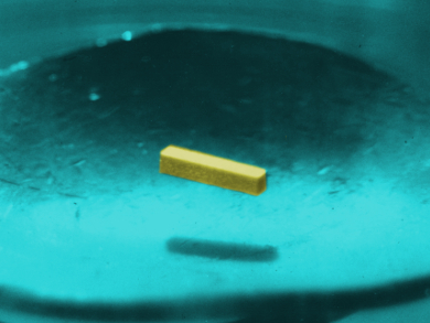 Locking in Superconductivity